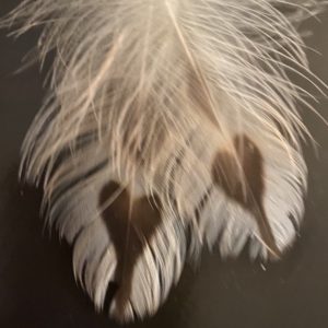 Spirit Weaver Mentoring