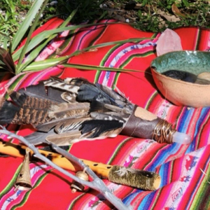 🌳 Home & Land Sacred Clearing